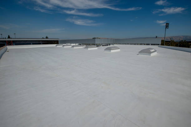 Best Green or Eco-Friendly Roofing Solutions  in Harristown, IL