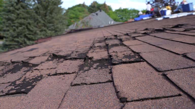 Best Sheet Metal Roofing  in Harristown, IL
