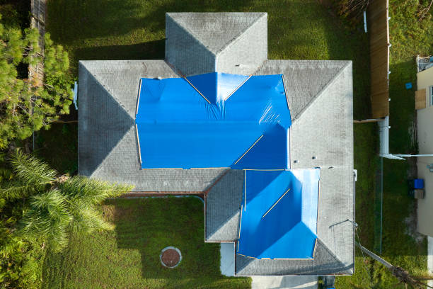 Best Asphalt Shingle Roofing  in Harristown, IL