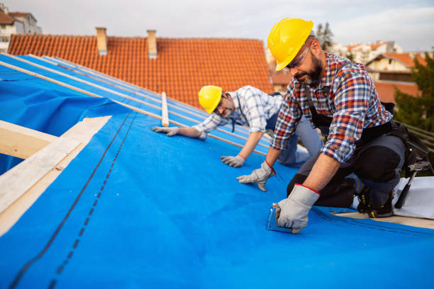 Best Roof Ventilation Installation  in Harristown, IL