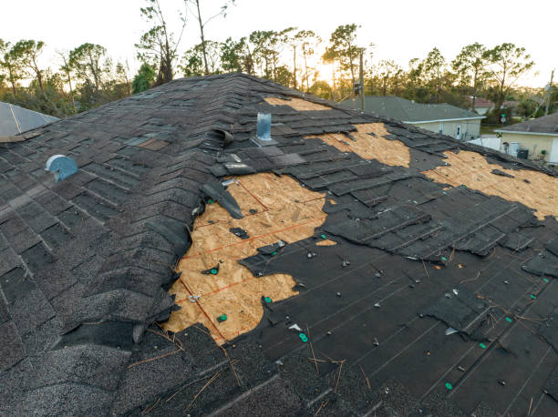 Best Steel Roofing  in Harristown, IL
