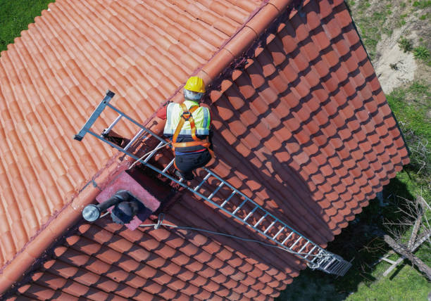 Best Roof Moss and Algae Removal  in Harristown, IL